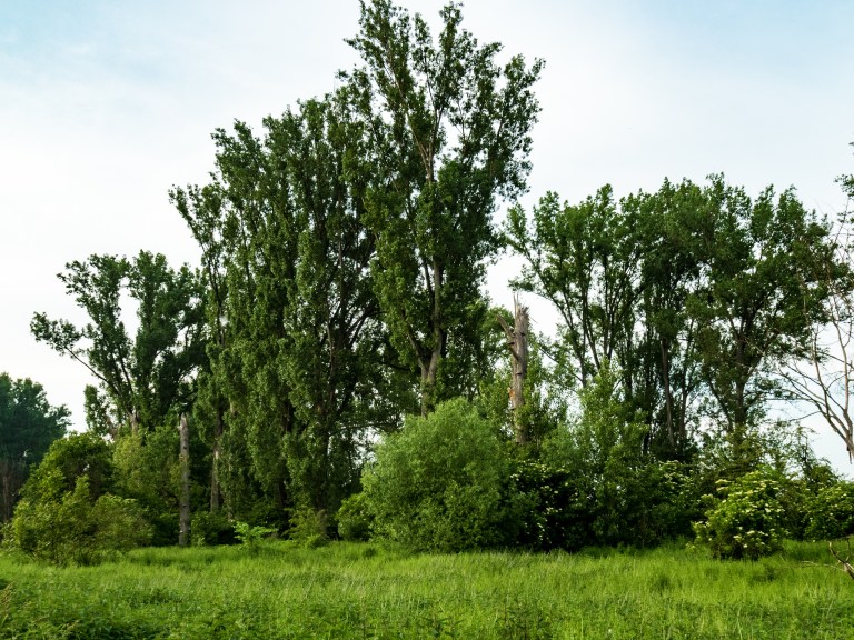 Import_26052016 157-1