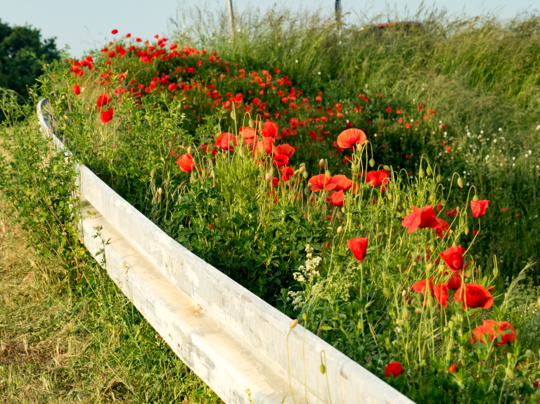 Import_26052016 176-1