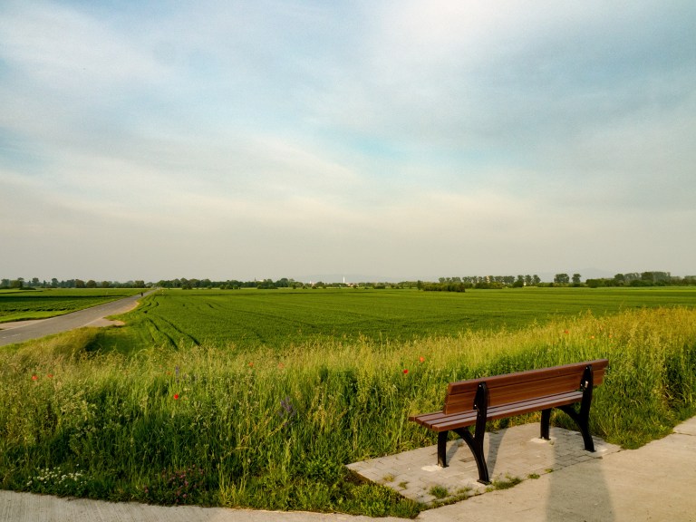 Import_26052016 179-1