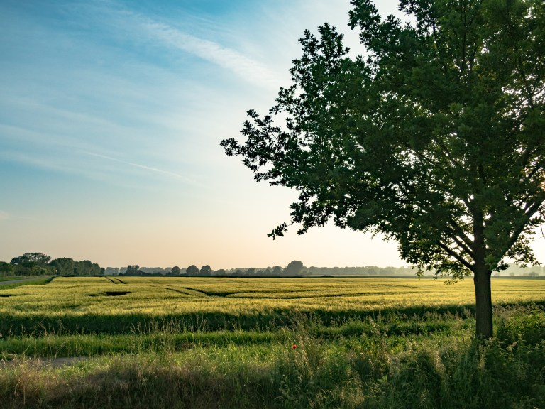 Import_26052016 187-1