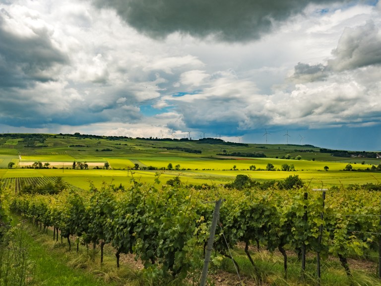 Rheinhessen 026-PS-HDR