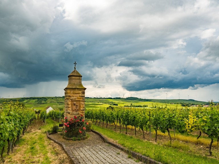Rheinhessen 052-PS-HDR