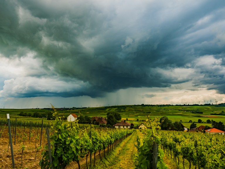Rheinhessen 057-PS-HDR