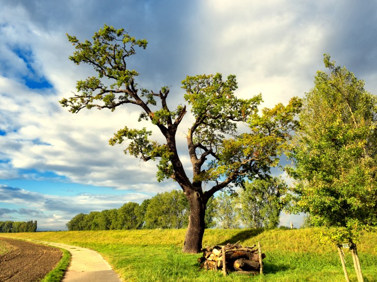 burg-stein-003-bearbeitet-bearbeitet-1