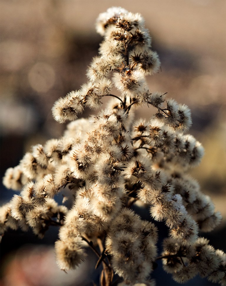 unbenanntes_panorama205x