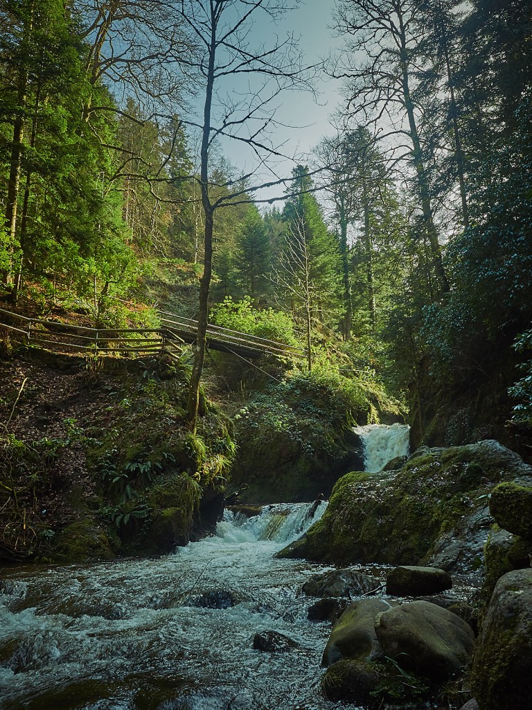 P31230861501Mrz 18 2017