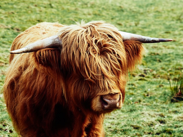 P31231701292Mrz 18 2017