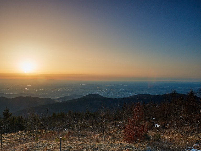 P31232111331Mrz 18 2017