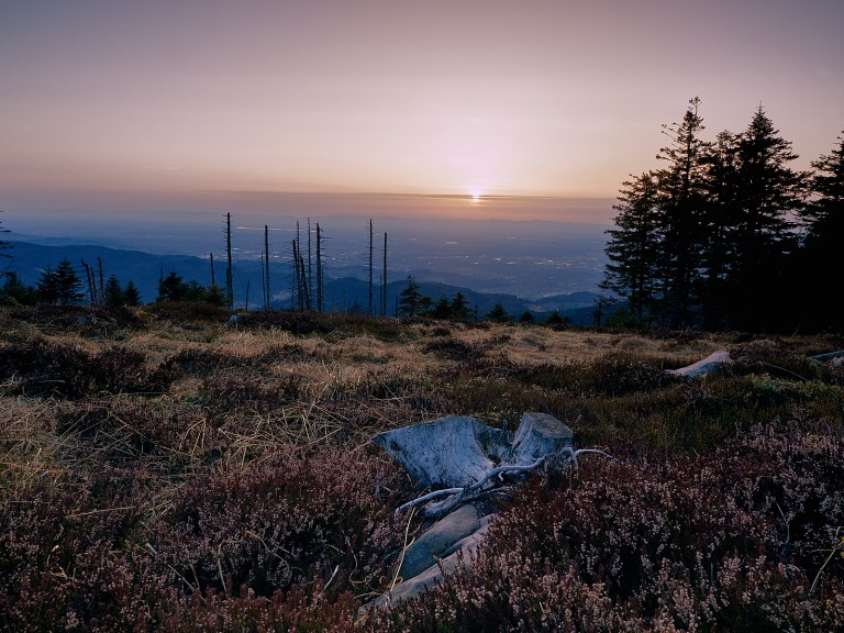 P31232221342Mrz 13 2017