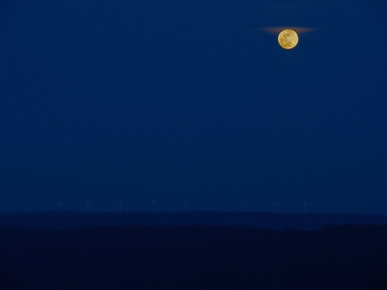 P31232811401Mrz 18 2017