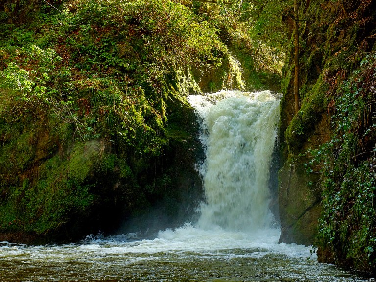 PS_P31230631486Mrz 13 2017