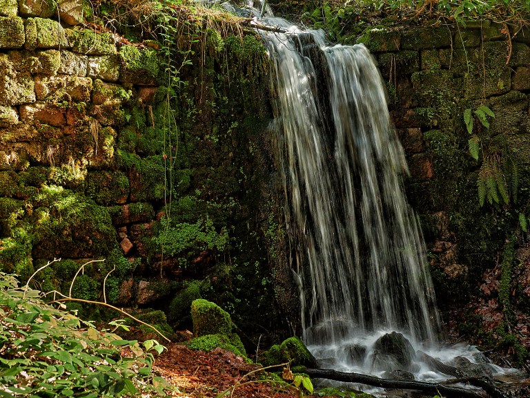 PS_P31231121515Mrz 13 2017 1