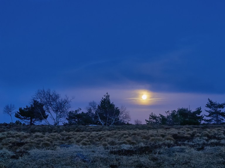 PS_P31232981418Mrz 13 2017