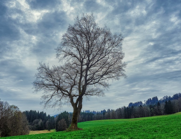 PS April und Ammergau 248248Apr 10 2017