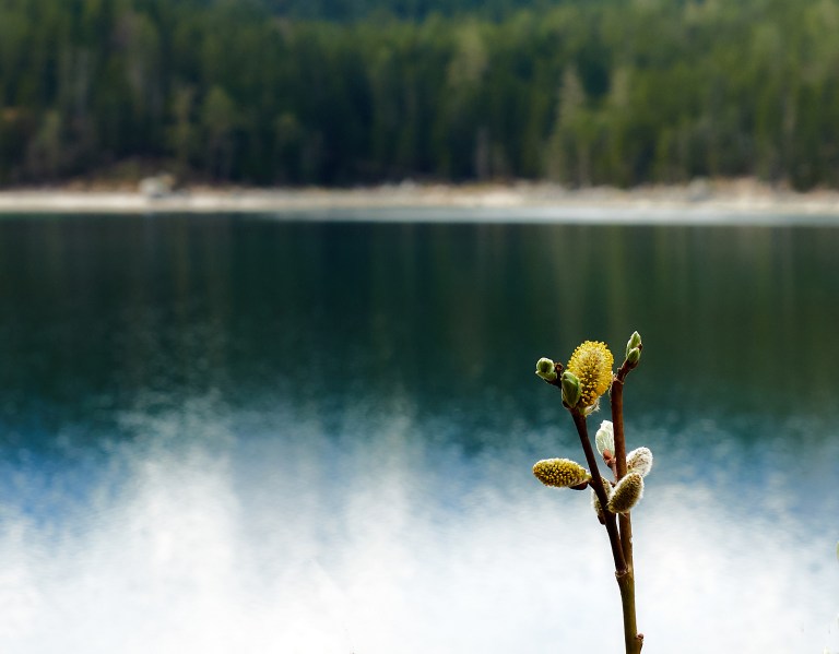 PS_April und Ammergau 296296Apr 09 2017