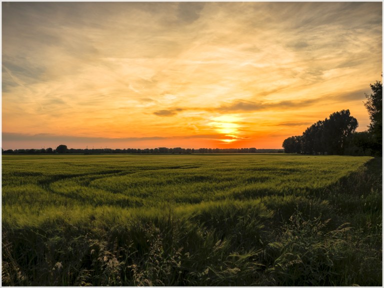 Sonnenuntergang-2web