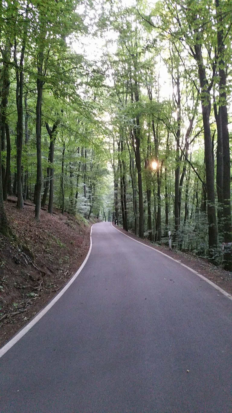 19243162_1504646542913022_7904648490530660562_o