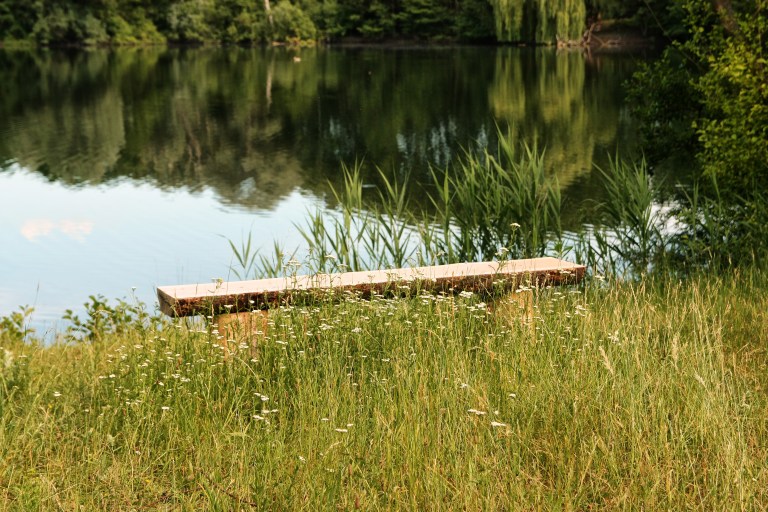 Pfungstädter-Moor-114