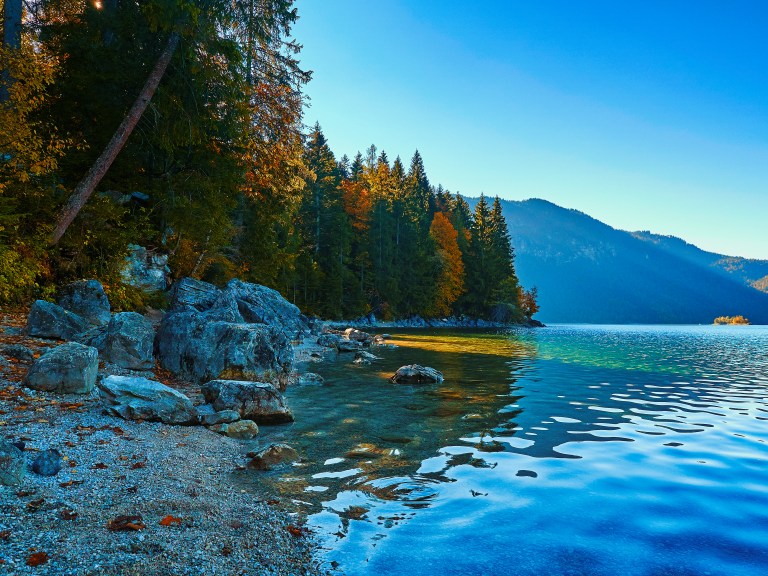 3924403Okt 09 2018 P